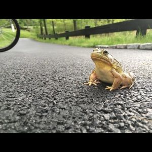 Meet your Posher, Jack